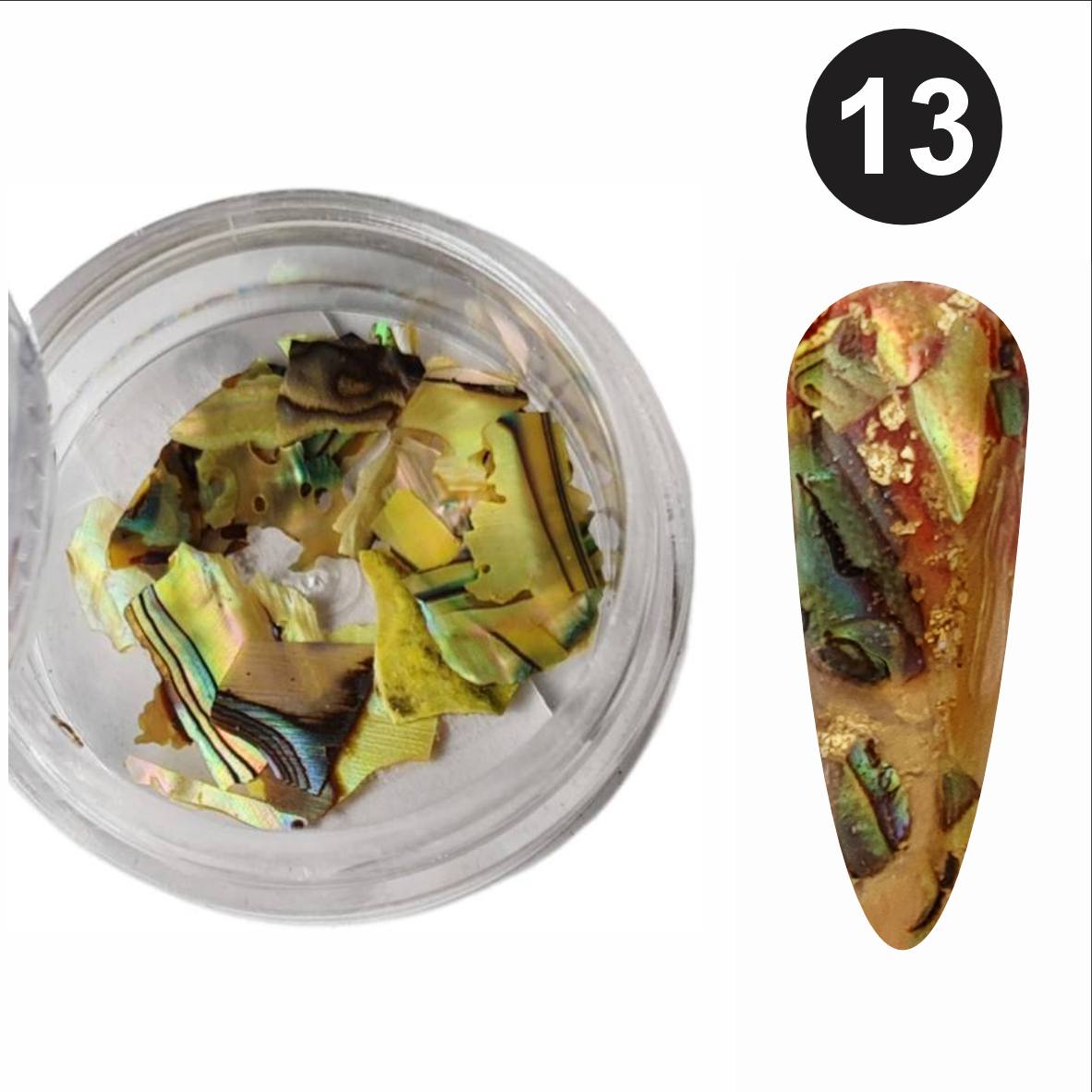 Deniz%20Kabuk%20Doğal%20Parçaları%20No:%2013%20(2-3%20gr)