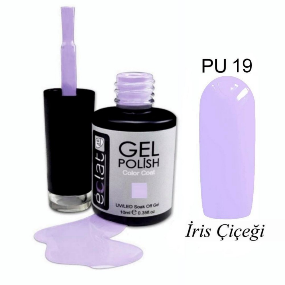 PU%2019%20İRİS%20ÇİÇEĞİ%20