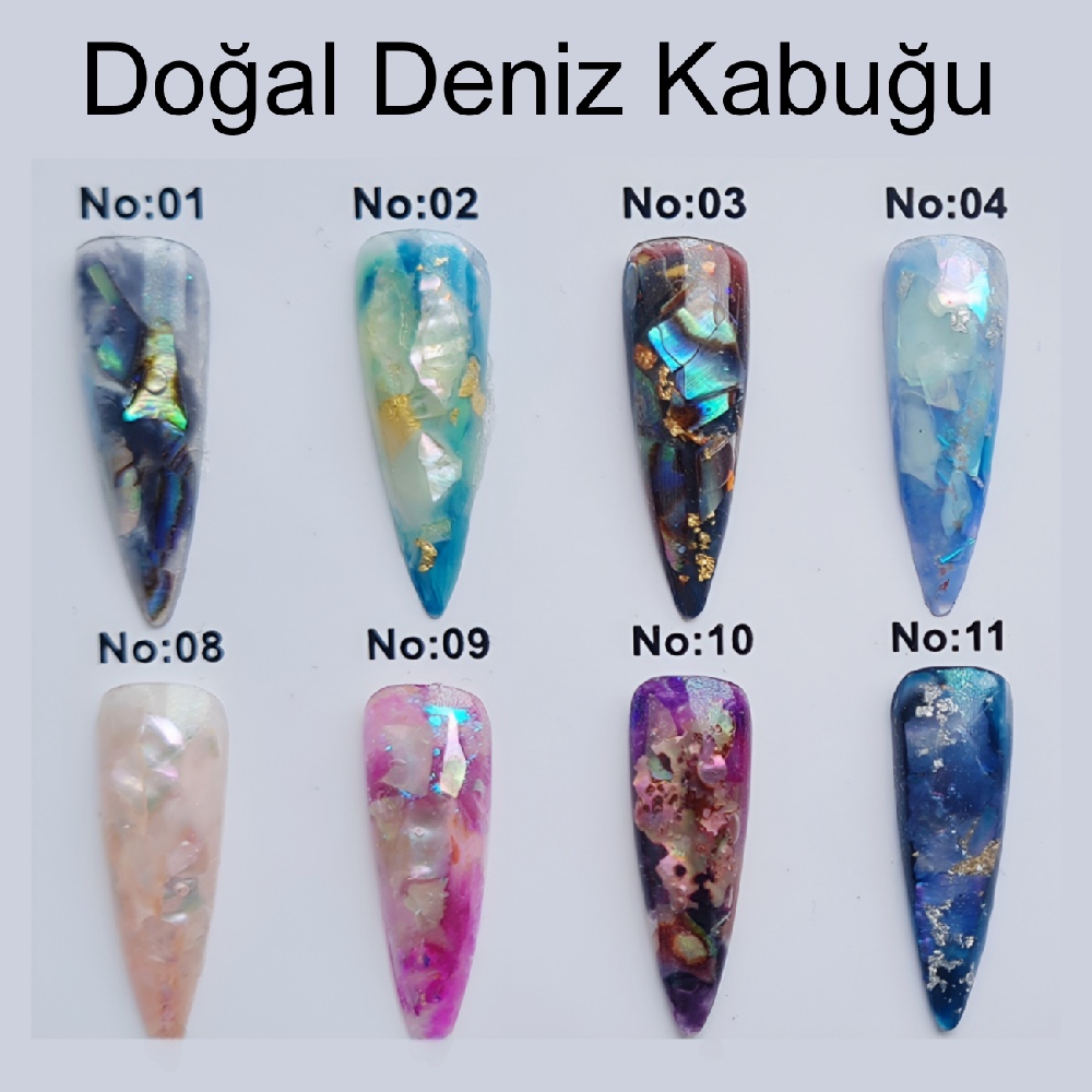 Deniz%20Kabuk%20Doğal%20Parçaları%20No:%2001%20(2-3%20gr)
