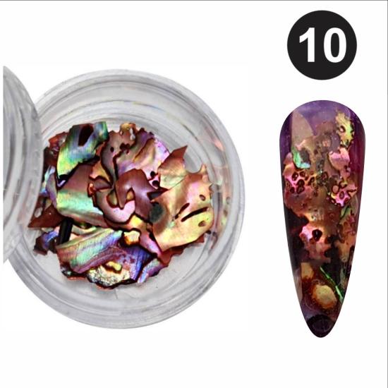 Deniz Kabuk Doğal Parçaları No: 10 (2-3 gr)