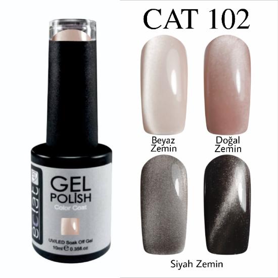 ICE İPEK 102 KEDİ GÖZÜ 9D KALICI OJE