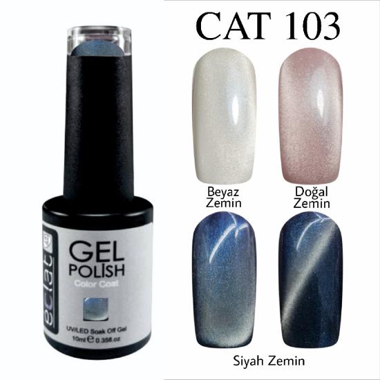 ICE İPEK 103 KEDİ GÖZÜ 9D KALICI OJE